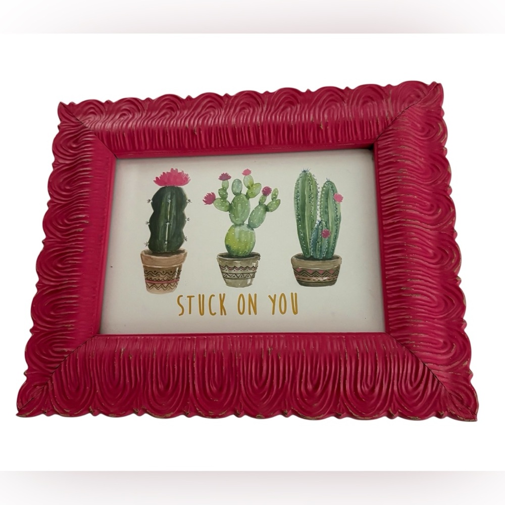 Stuck On You cactus picture